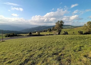 Terratetto - Terracielo Camugnano - foto 22