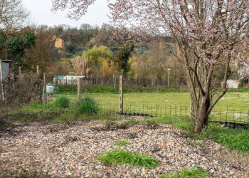 Giardino - Apartment VIA LA STECCATA
 
15, Terranuova Bracciolini - photo 35