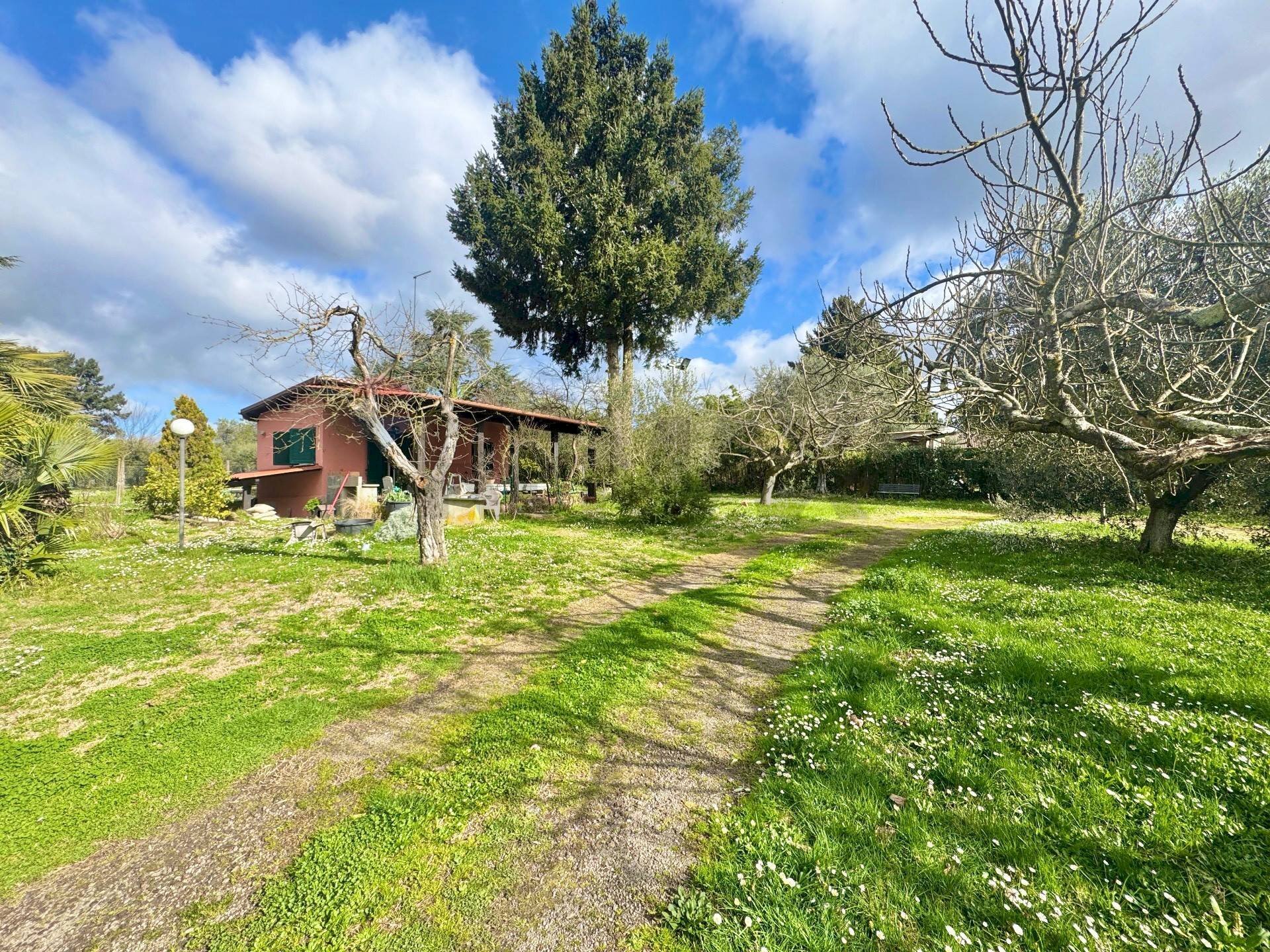 Giardino - Rustico via delle spinare
 
1, Manziana - foto 1