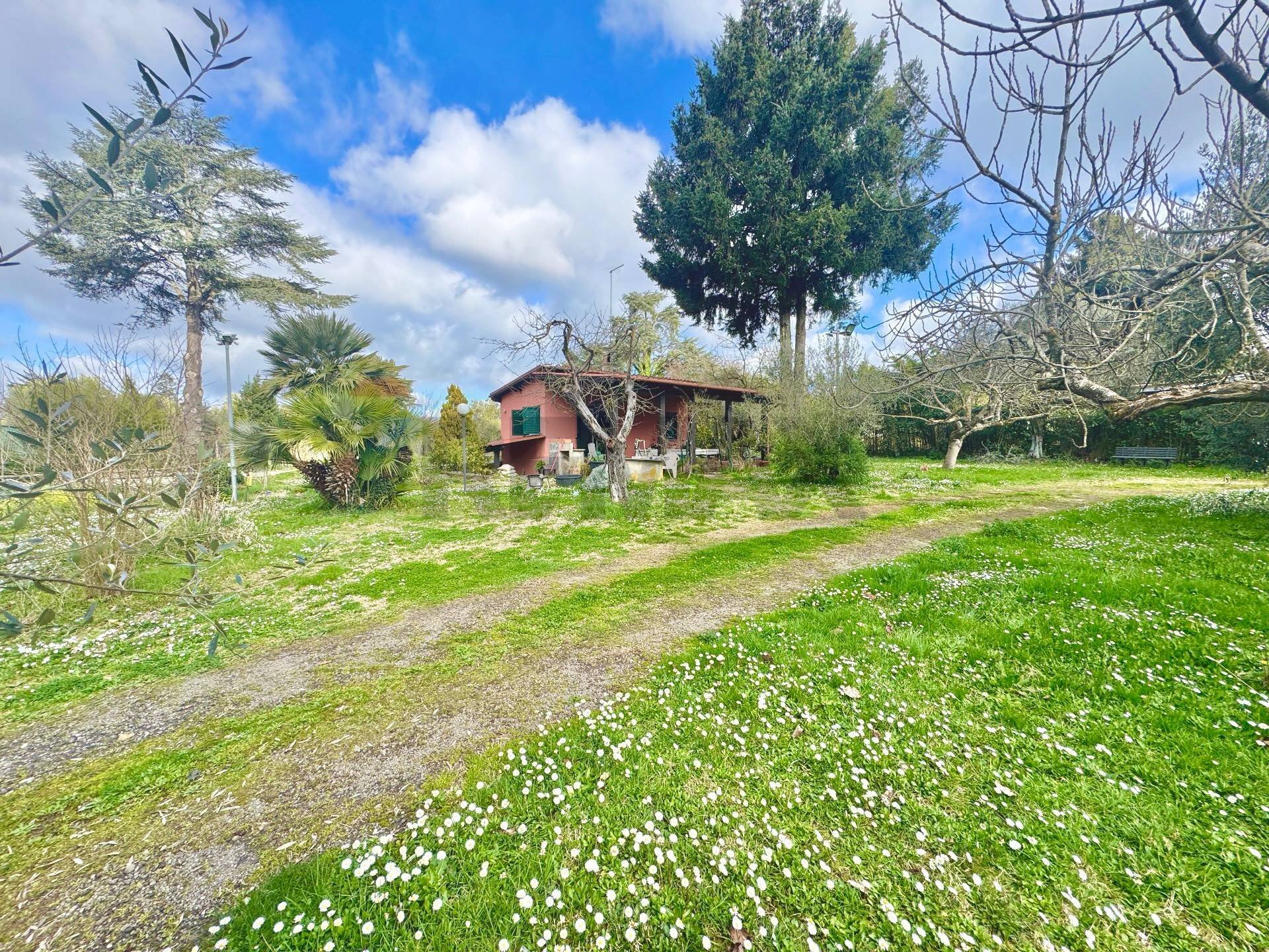 Giardino - Rustico via delle spinare
 
1, Manziana - foto 2