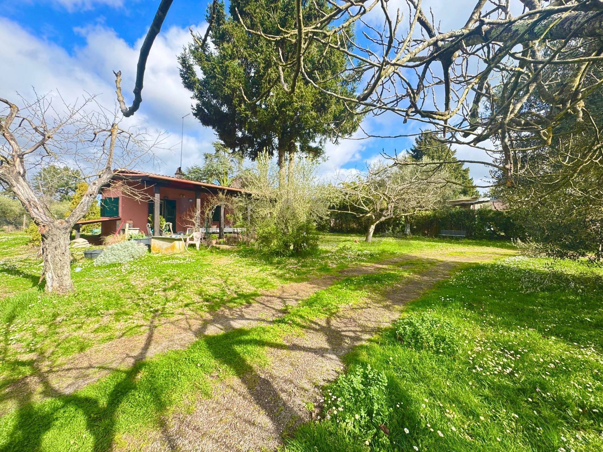 Giardino - Rustico via delle spinare
 
1, Manziana - foto 3