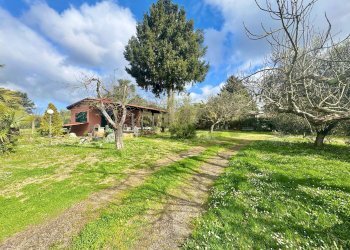 Giardino - Rustico via delle spinare
 
1, Manziana - foto 1