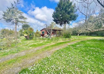 Giardino - Rustico via delle spinare
 
1, Manziana - foto 2