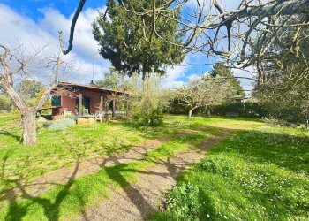 Giardino - Rustico via delle spinare
 
1, Manziana - foto 3