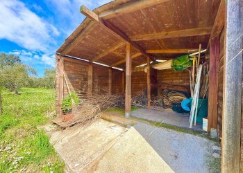 Casa all\'aperto - Rustico via delle spinare
 
1, Manziana - foto 16