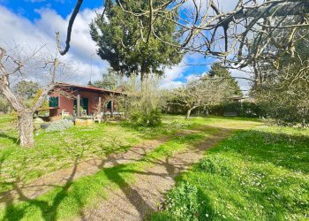 Giardino - Rustico via delle spinare
 
1, Manziana - foto 17