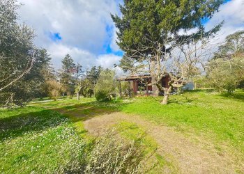 Giardino - Rustico via delle spinare
 
1, Manziana - foto 18