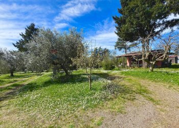 Giardino - Rustico via delle spinare
 
1, Manziana - foto 19