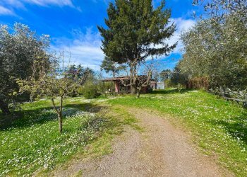 Giardino - Rustico via delle spinare
 
1, Manziana - foto 20