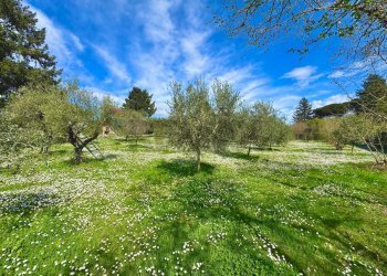 Giardino - Rustico via delle spinare
 
1, Manziana - foto 22