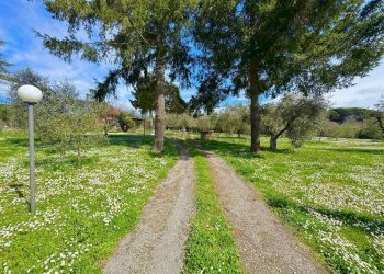 Giardino - Rustico via delle spinare
 
1, Manziana - foto 26
