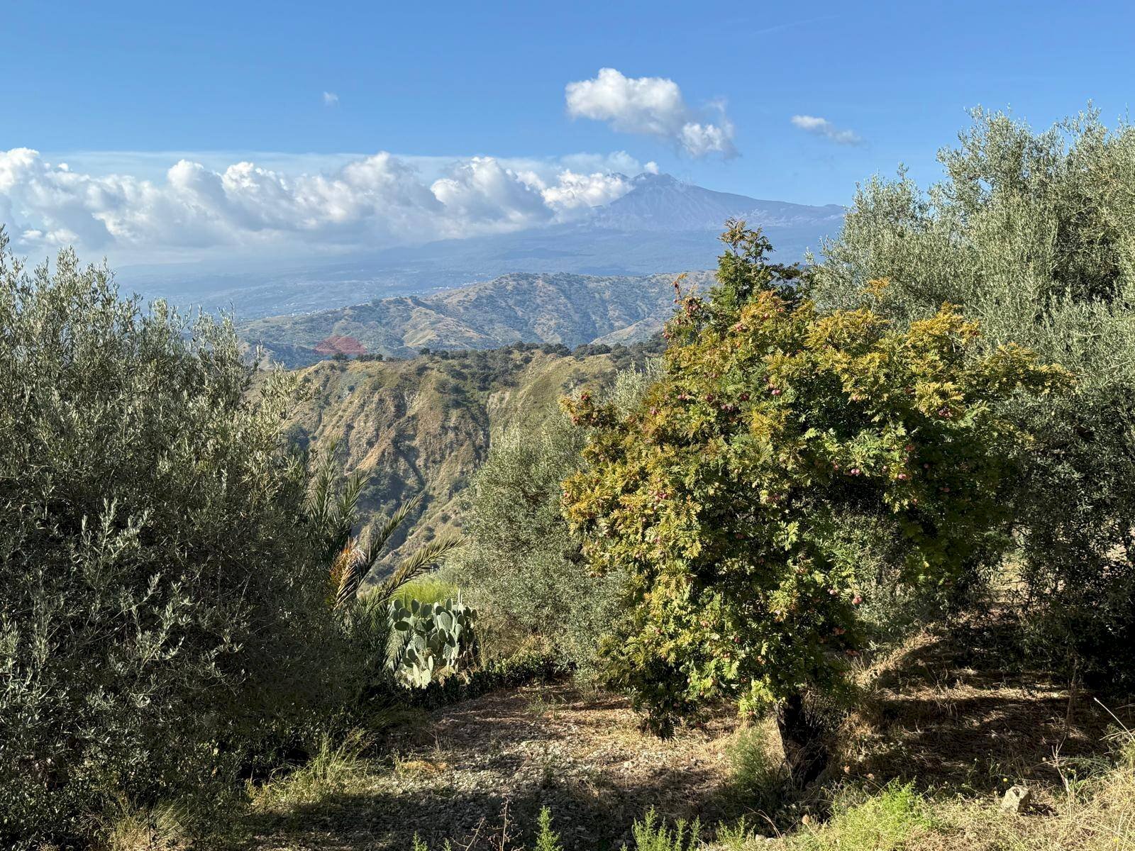 Vista delle montagne - Rustic Contrada Grimaudo
 
S.N., Castelmola - photo 1
