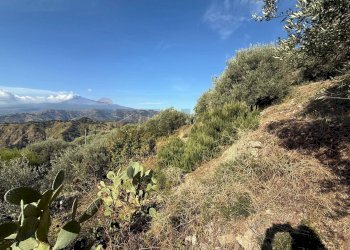 Vista delle montagne - Rustic Contrada Grimaudo
 
s.n.c, Castelmola - photo 5