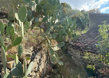 Giardino - Rustic Contrada Grimaudo
 
s.n.c, Castelmola - photo 11