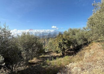 Vista delle montagne - Rustic Contrada Grimaudo
 
s.n.c, Castelmola - photo 16