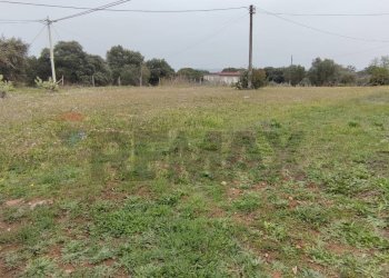 Giardino - Terreno agricolo VIA PIANO SAN PAOLO
 
3, Caltagirone - foto 7