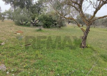 Giardino - Terreno agricolo VIA PIANO SAN PAOLO
 
3, Caltagirone - foto 13