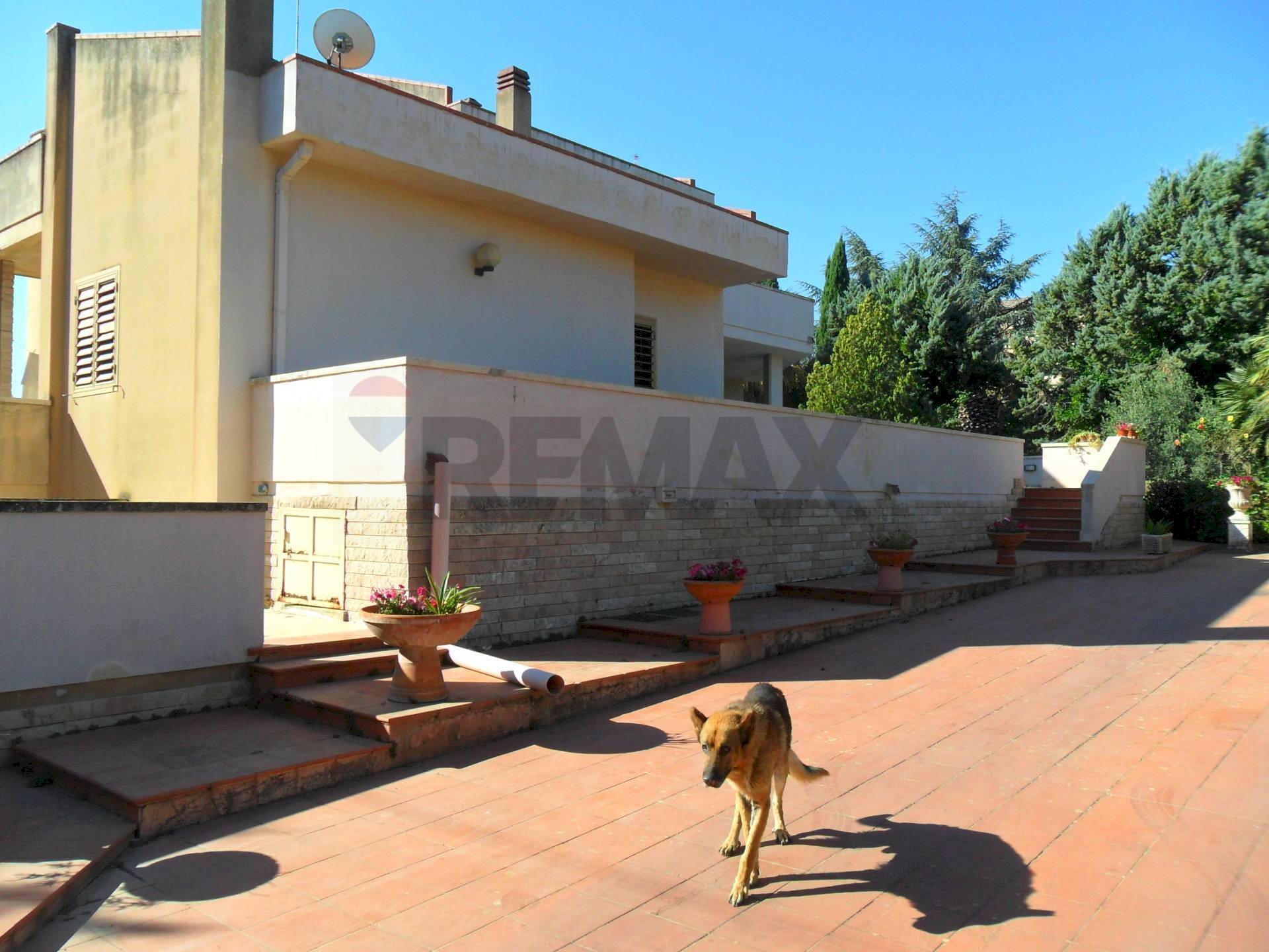 Terrazza - Casa semi indipendente Via Degli Ulivi
 
21, Caltanissetta - foto 1