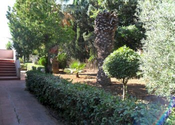 Giardino - Casa semi indipendente Via Degli Ulivi
 
21, Caltanissetta - foto 8