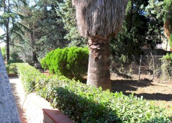 Giardino - Casa semi indipendente Via Degli Ulivi
 
21, Caltanissetta - foto 10