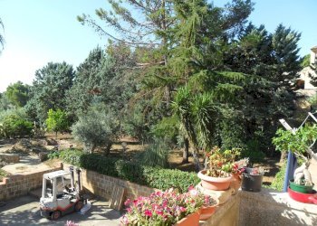 Giardino - Casa semi indipendente Via Degli Ulivi
 
21, Caltanissetta - foto 11