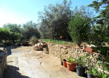 Giardino - Casa semi indipendente Via Degli Ulivi
 
21, Caltanissetta - foto 19