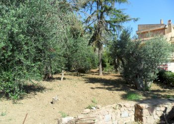 Giardino - Casa semi indipendente Via Degli Ulivi
 
21, Caltanissetta - foto 27