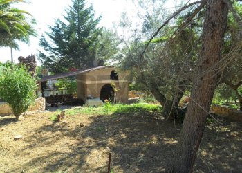 Giardino - Casa semi indipendente Via Degli Ulivi
 
21, Caltanissetta - foto 30