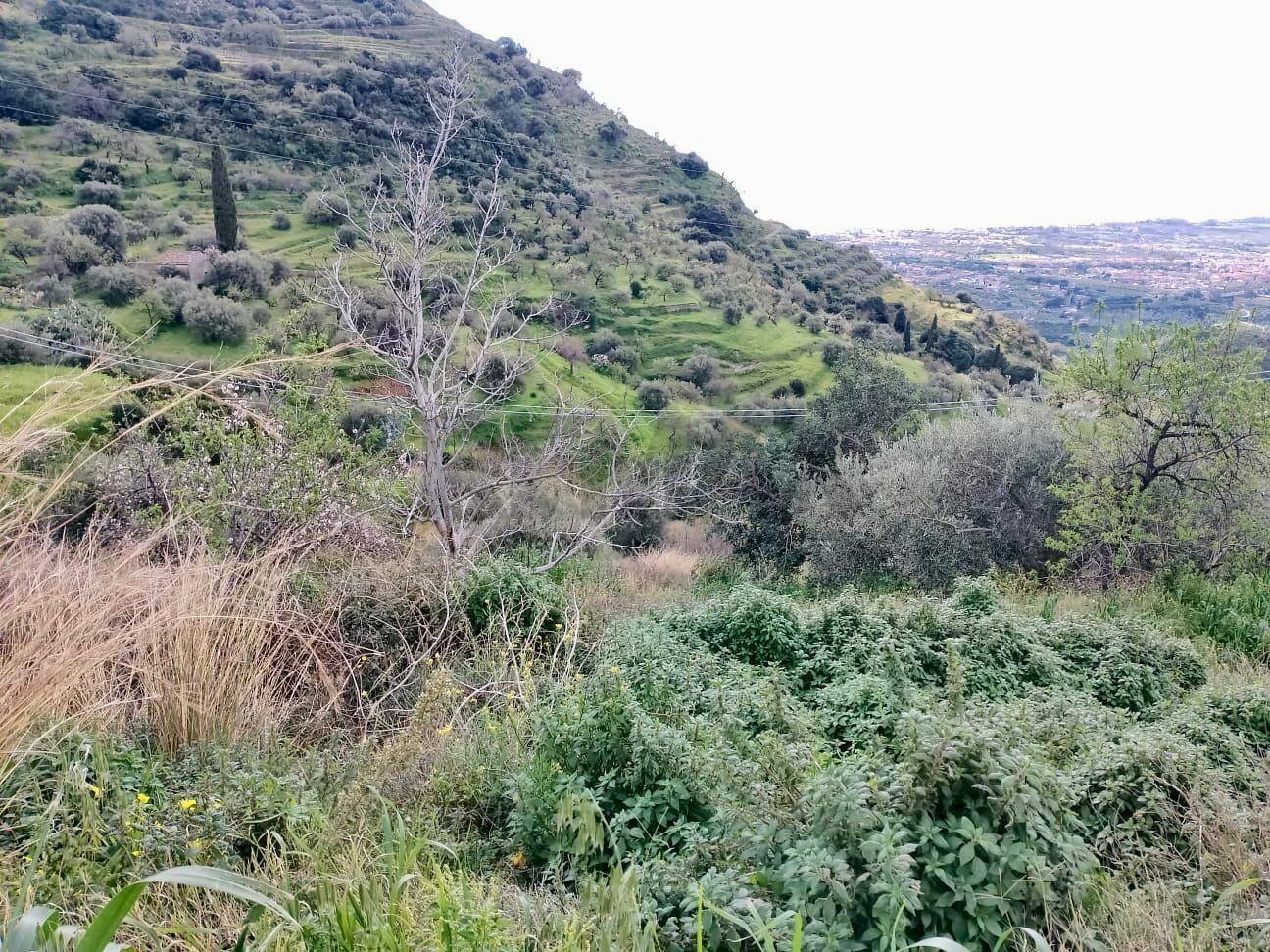 Vista delle montagne - Terreno agricolo Contrada Trupiano, Castelmola - foto 1