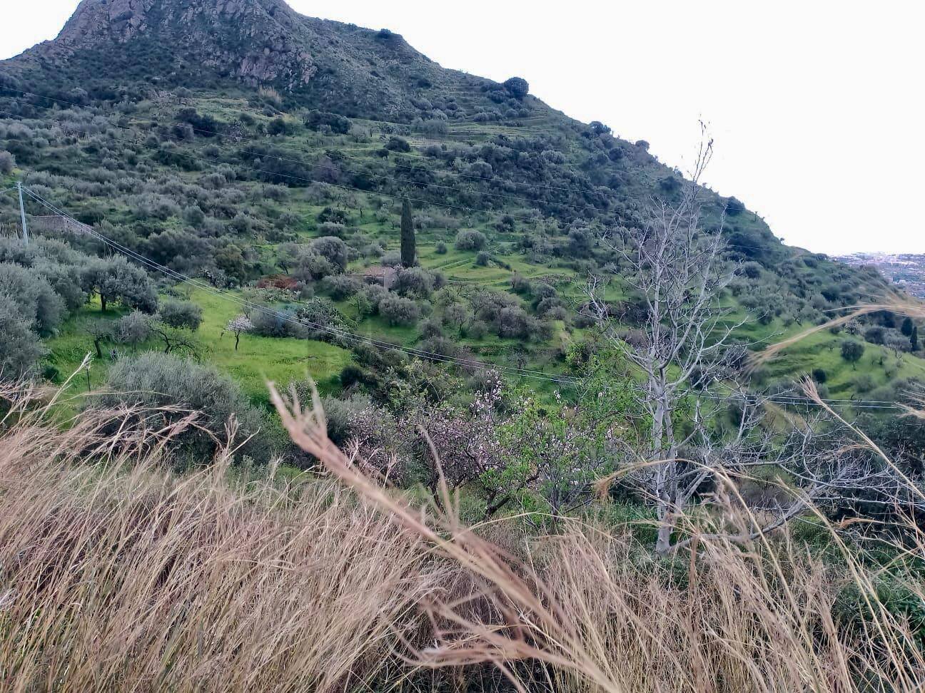Vista delle montagne - Terreno agricolo Contrada Trupiano, Castelmola - foto 3