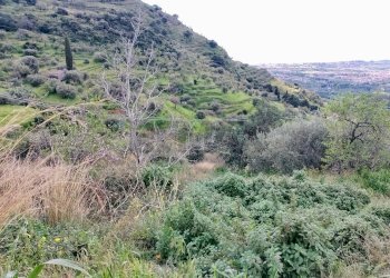Vista delle montagne - Terreno agricolo Contrada Trupiano, Castelmola - foto 1