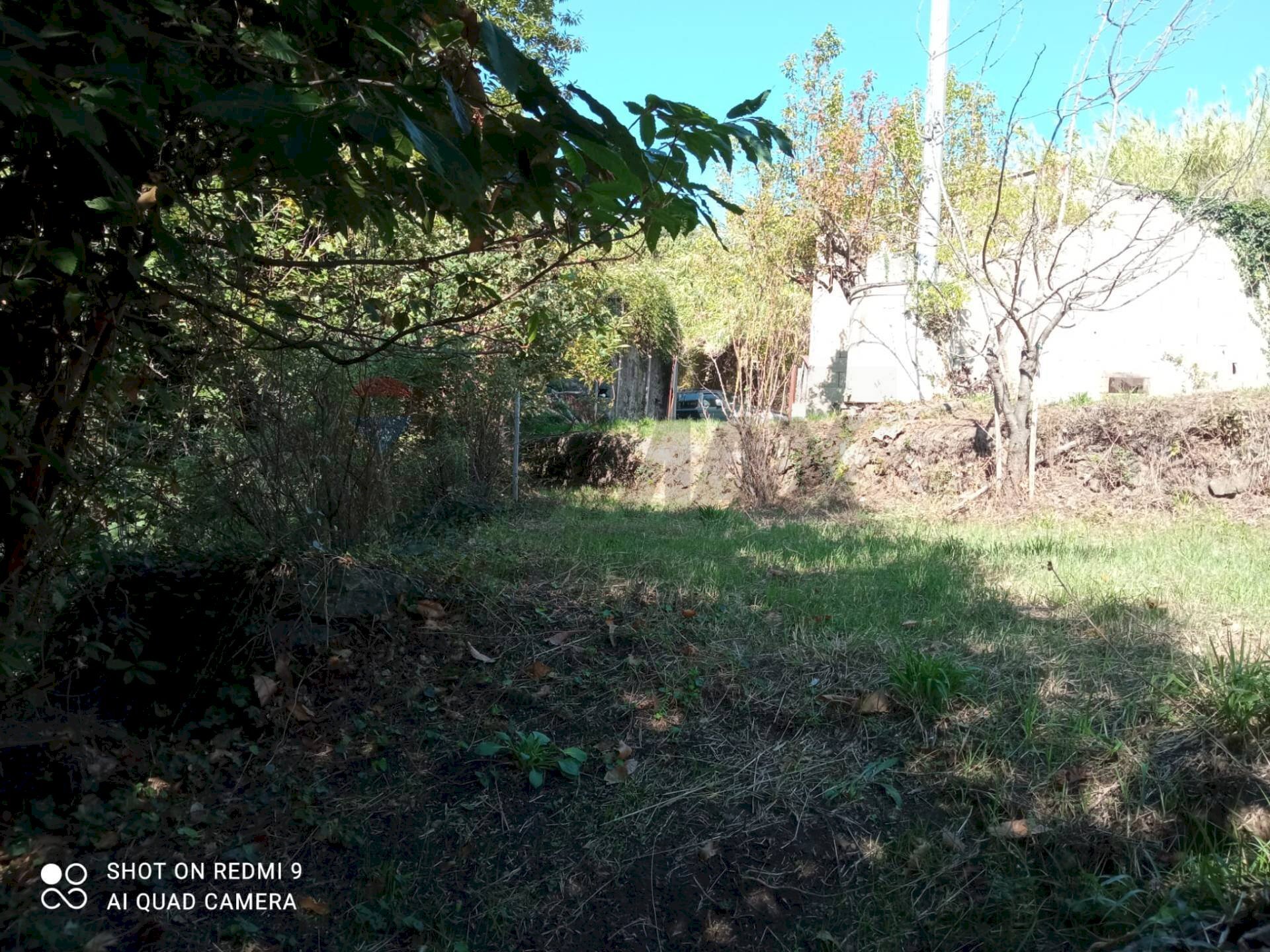 Giardino - Terreno agricolo Contrada Crisafulli, Giarre - foto 1