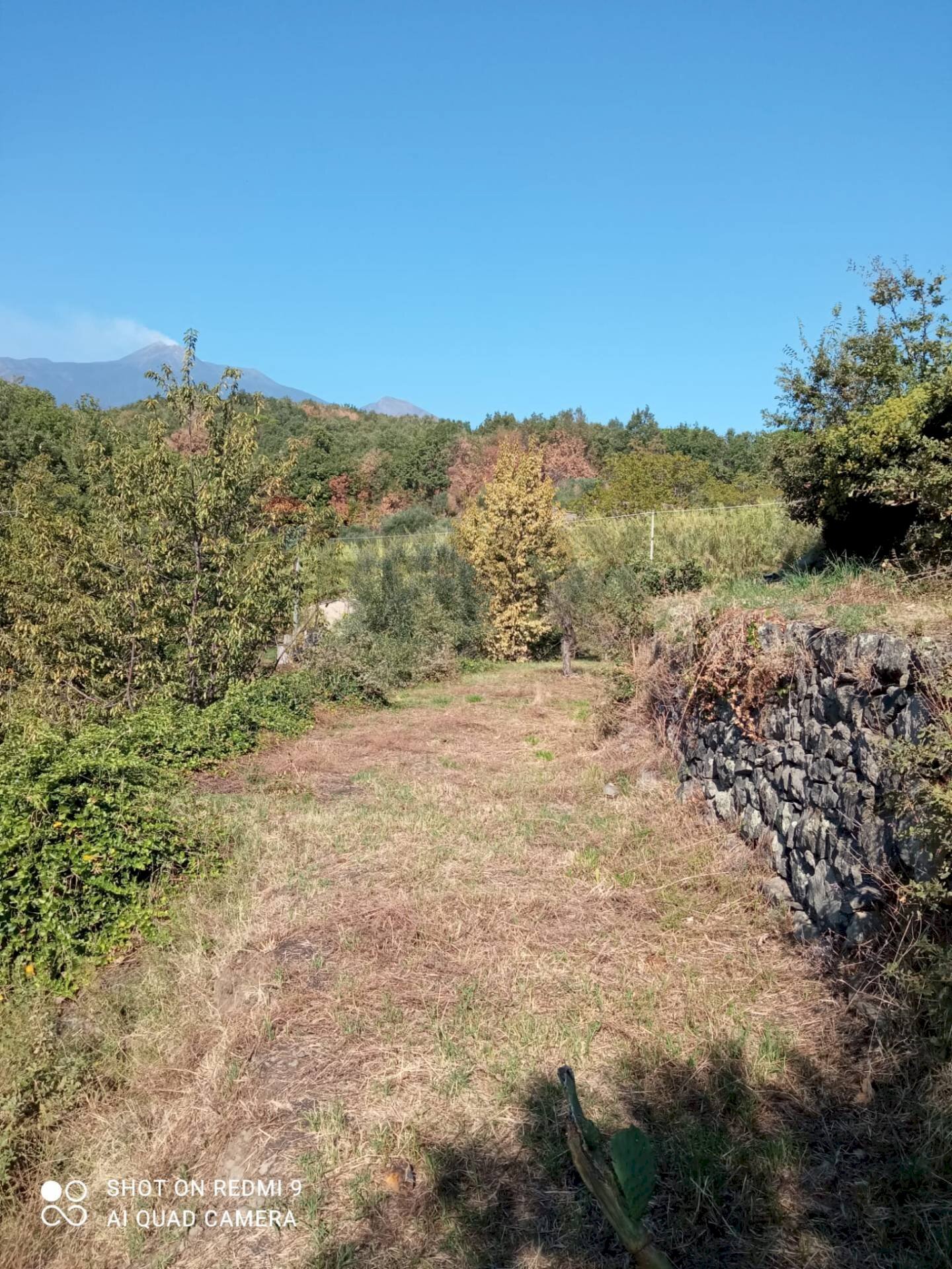 Vista delle montagne - Terreno agricolo Contrada Crisafulli, Giarre - foto 3