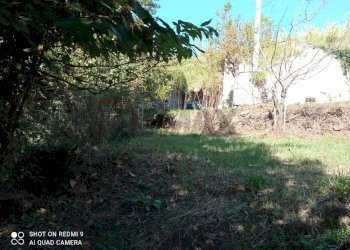 Giardino - Terreno agricolo Contrada Crisafulli, Giarre - foto 1