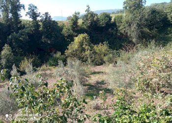 Non correlato - Terreno agricolo Contrada Crisafulli, Giarre - foto 4