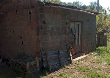 Casa all\'aperto - Terreno agricolo Contrada Crisafulli, Giarre - foto 5