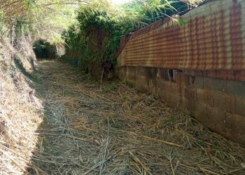 Giardino - Terreno agricolo Contrada Crisafulli, Giarre - foto 6