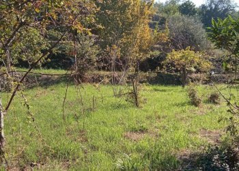 Giardino - Terreno agricolo Contrada Crisafulli, Giarre - foto 8