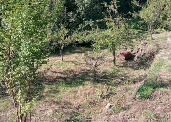 Giardino - Terreno agricolo Contrada Crisafulli, Giarre - foto 9