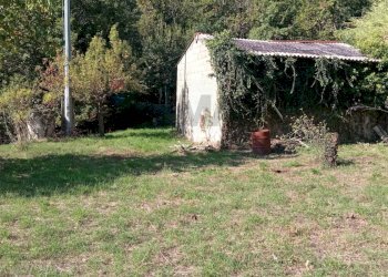 Giardino - Terreno agricolo Contrada Crisafulli, Giarre - foto 10