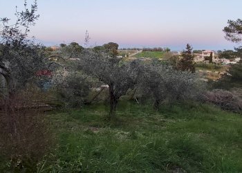 Non correlato - Villa Caltagirone - foto 43