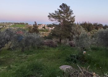 Giardino - Villa Caltagirone - foto 44