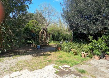 Giardino - Terreno agricolo Piombino - foto 6