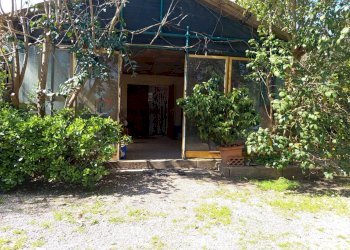 Casa all\'aperto - Terreno agricolo Piombino - foto 7