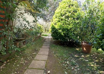 Giardino - Terreno agricolo Piombino - foto 8