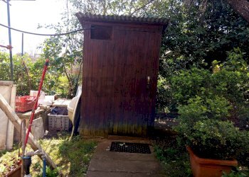 Giardino - Terreno agricolo Piombino - foto 10