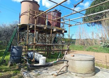 Casa all\'aperto - Terreno agricolo Piombino - foto 15