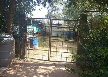 Edificio all\'aperto - Terreno agricolo Piombino - foto 19