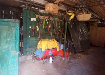 Non correlato - Terreno agricolo Piombino - foto 20