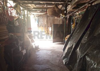 Dispensa di stoccaggio - Terreno agricolo Piombino - foto 22